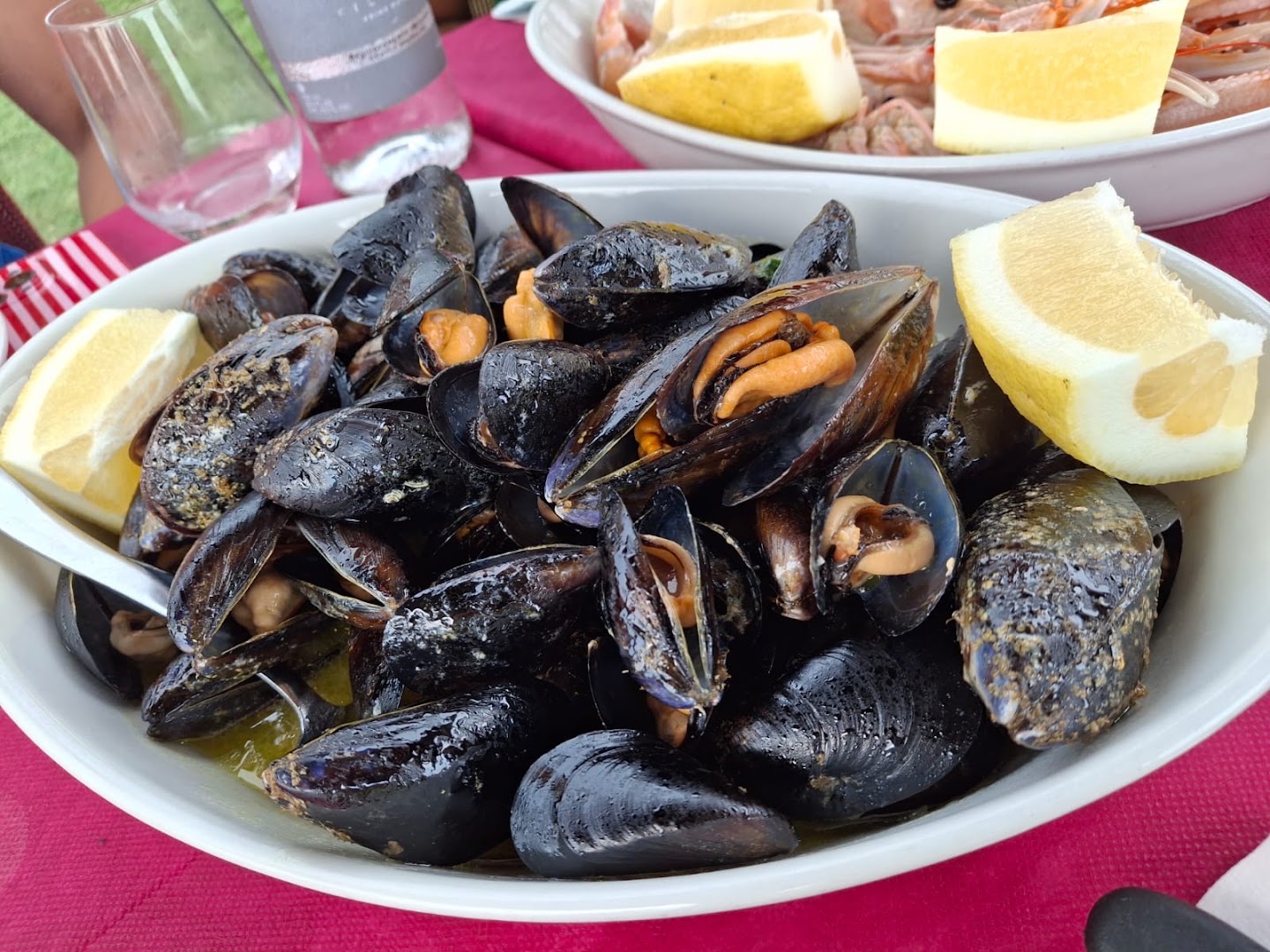 Lido Il Selvaggio