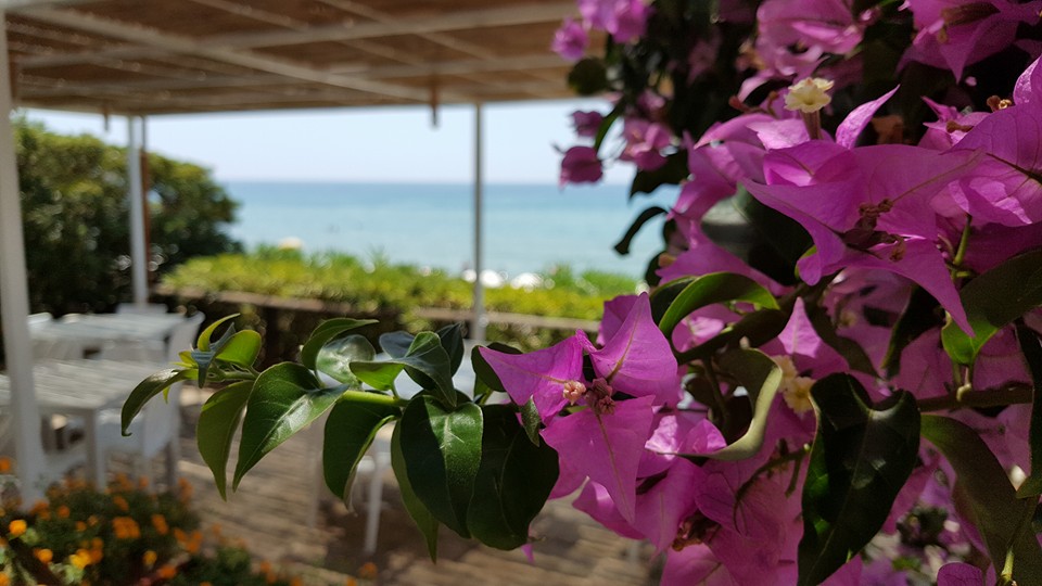 Lido La Peonia