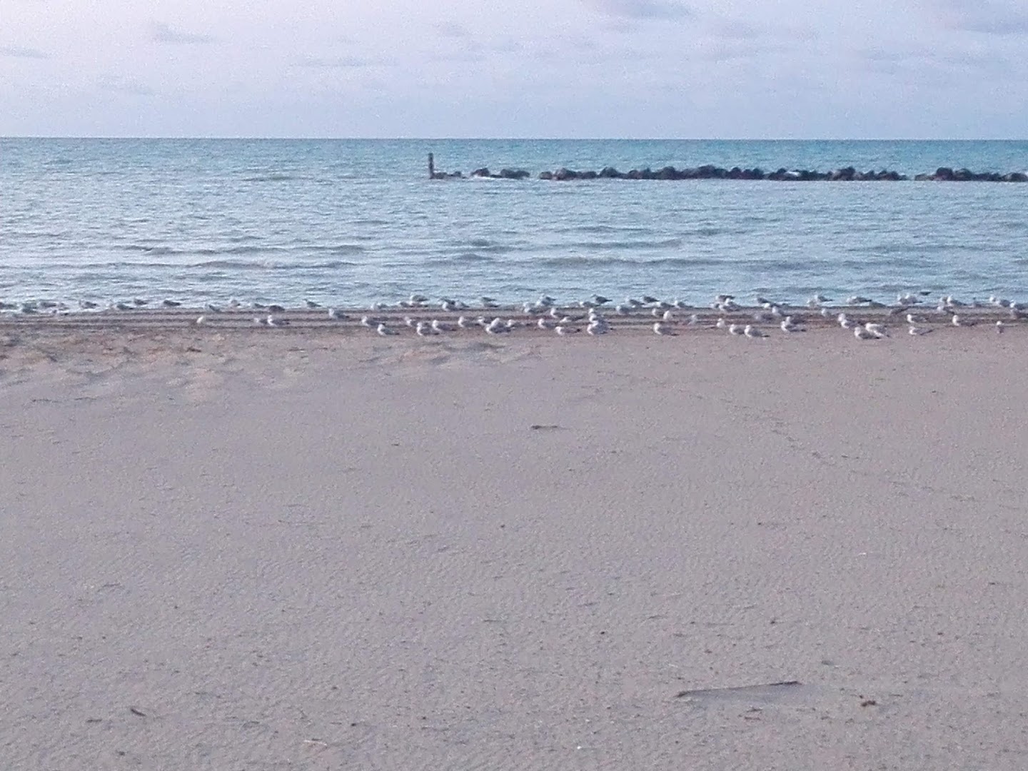 Lido Le Dune Beach