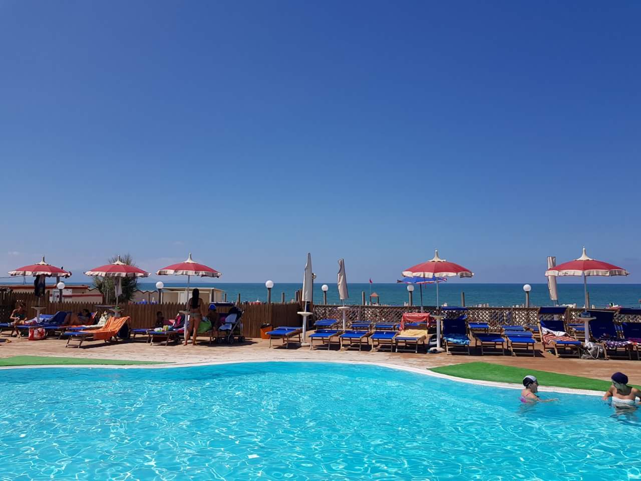 Lido Liriope