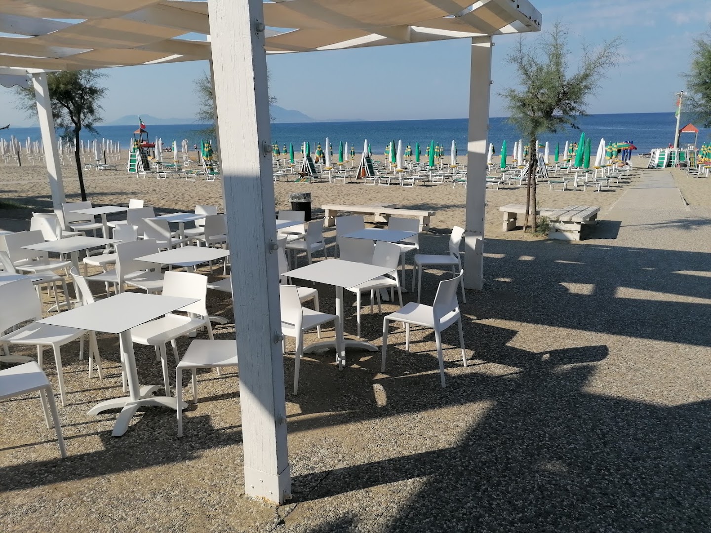 Lido Liriope