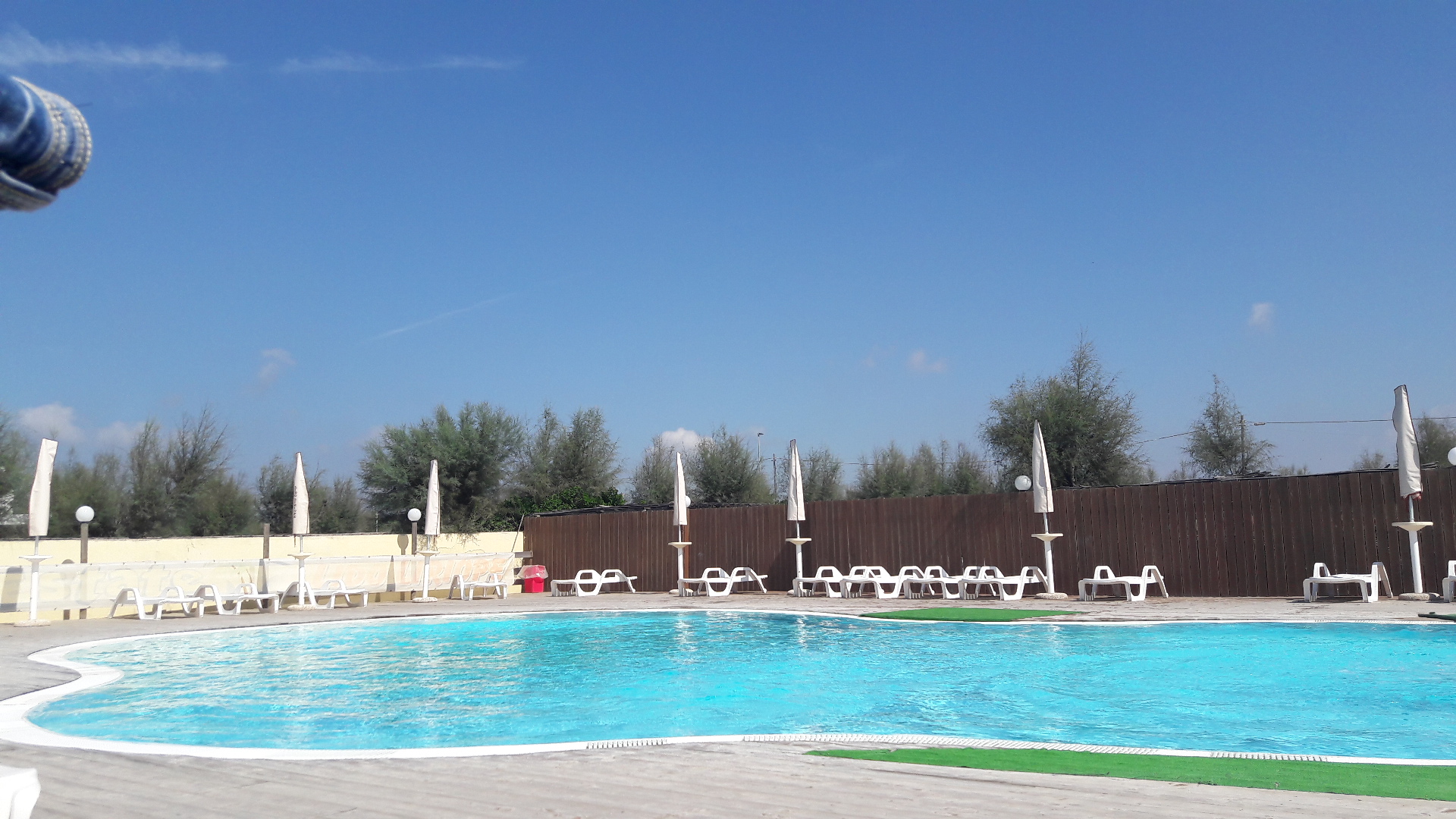 Lido Liriope