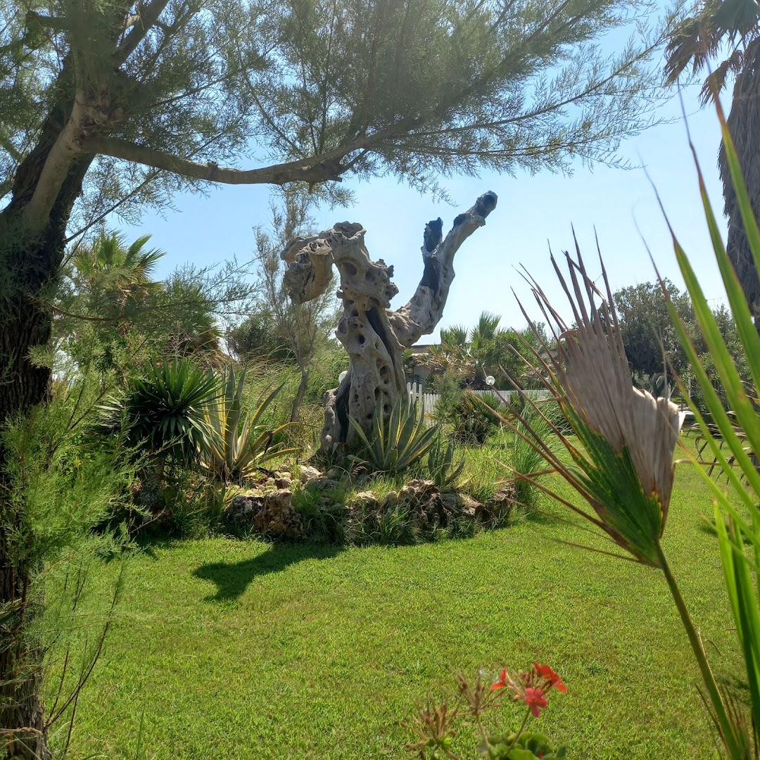 Lido Lucio