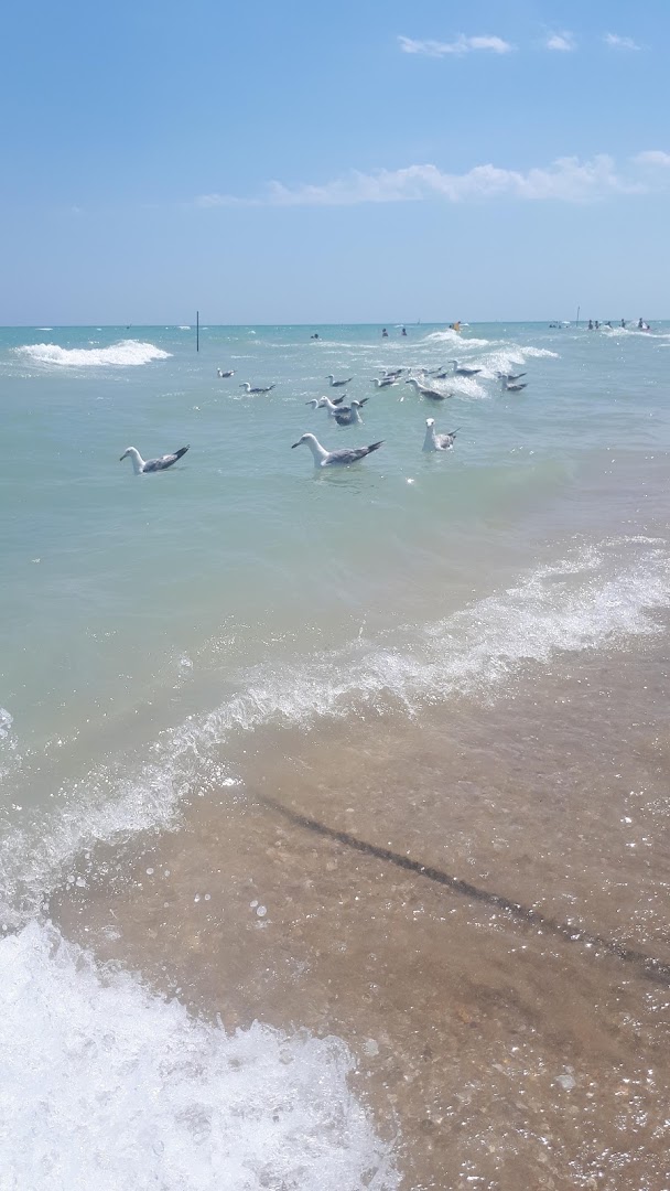 Lido Marconi