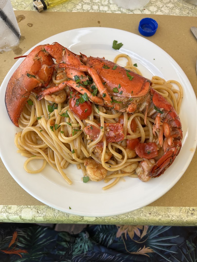 Lido Marlin