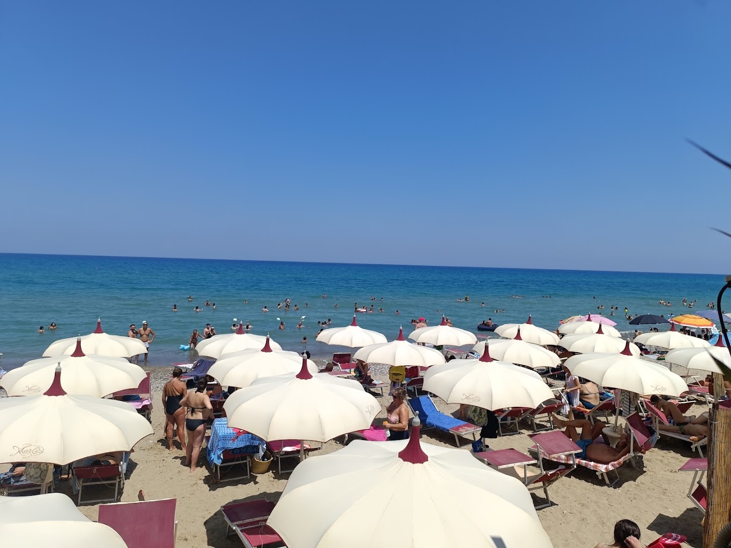 Lido Marlin
