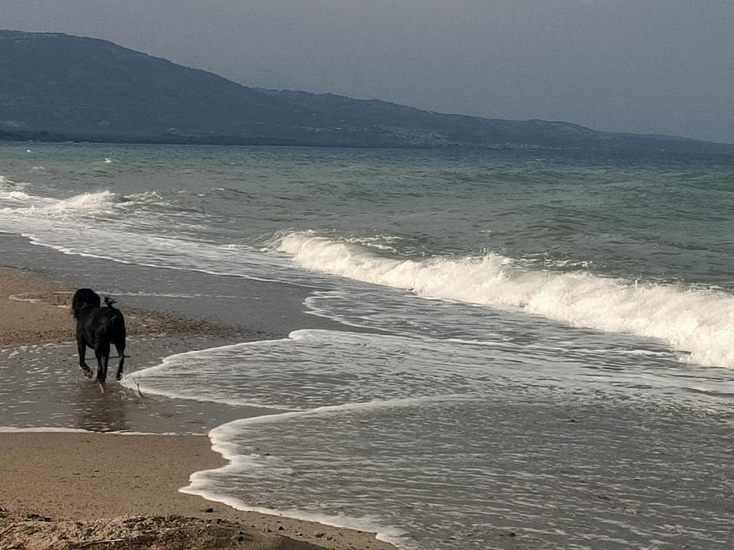 Lido Mille Pini