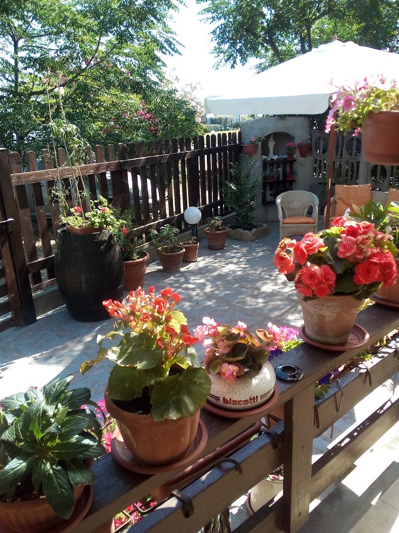 Lido Molè Monkey Restaurant
