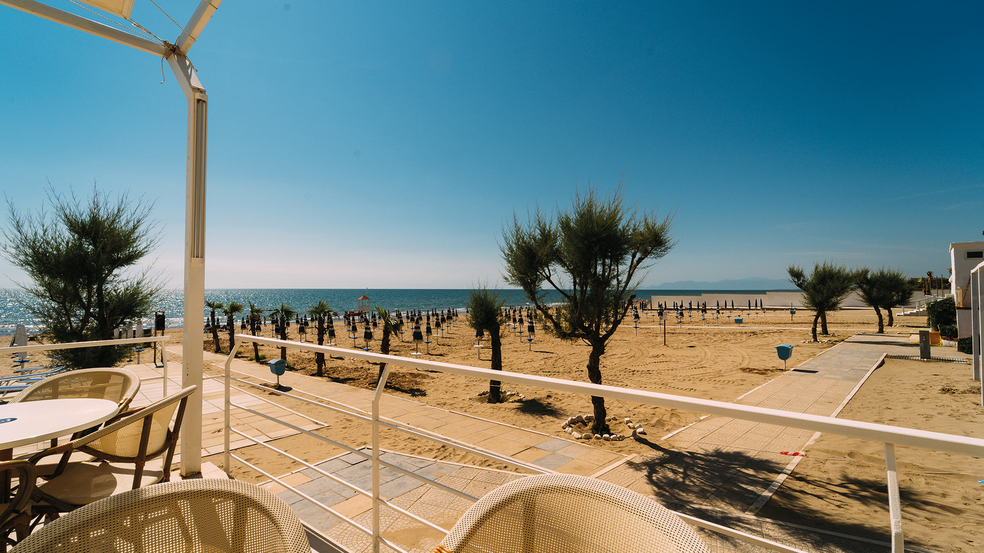 Lido Palma Rey