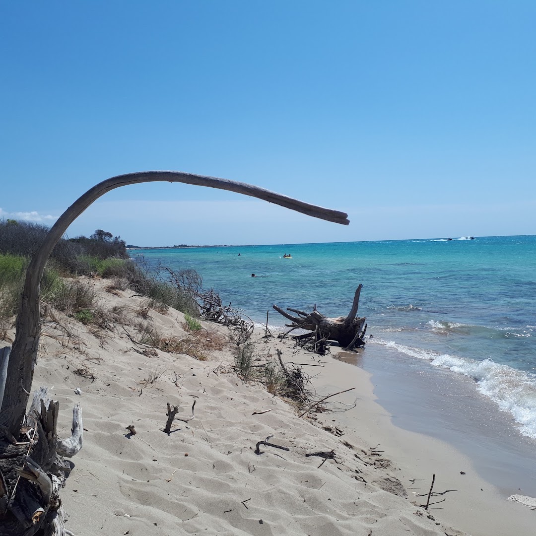 Lido Pineta