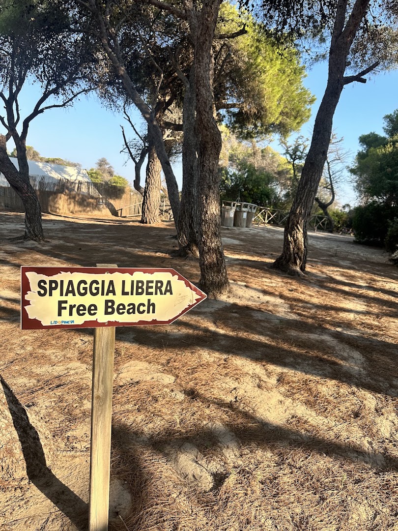 Lido Pineta