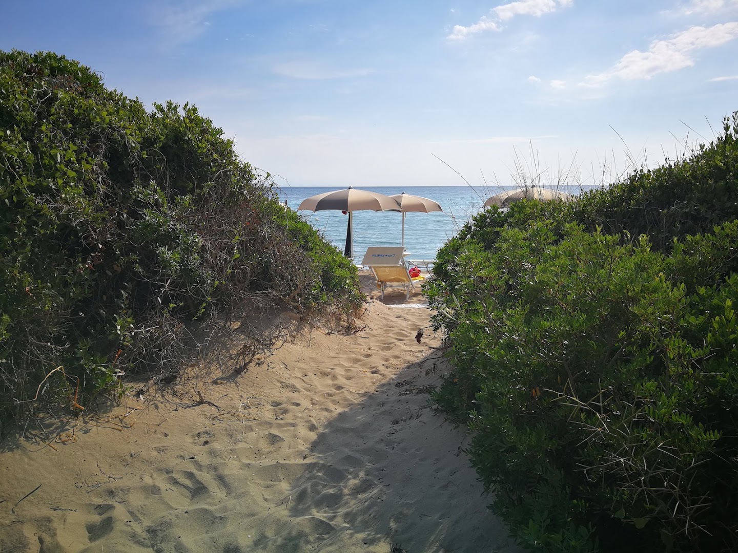 Lido Pineta