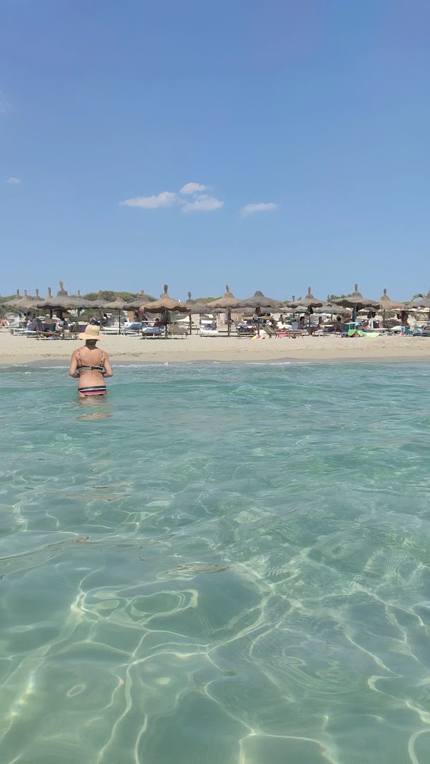 Lido Pineta