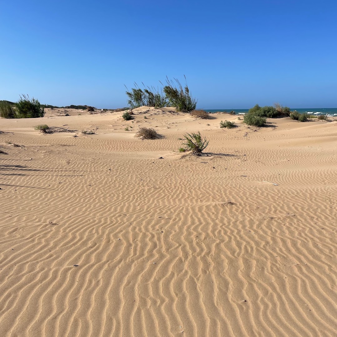 Lido Playa Carratois