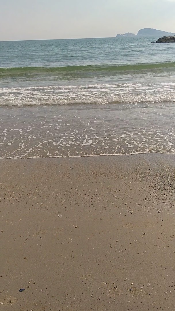 Lido S. Janni