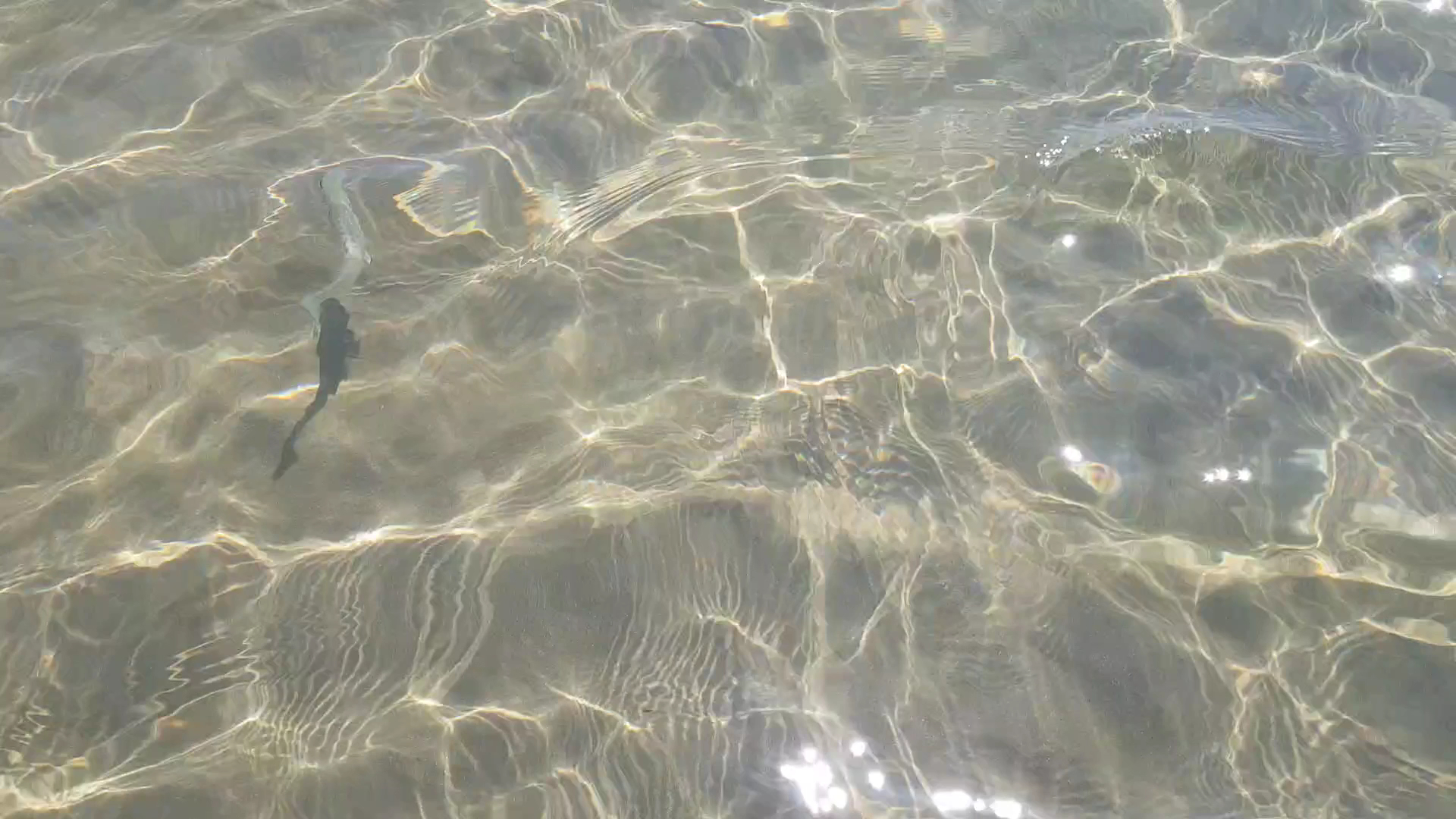 Lido Sud