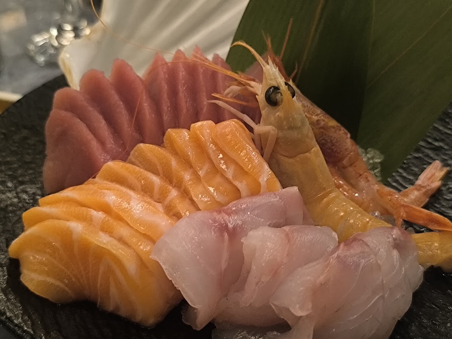 Lido Sushi