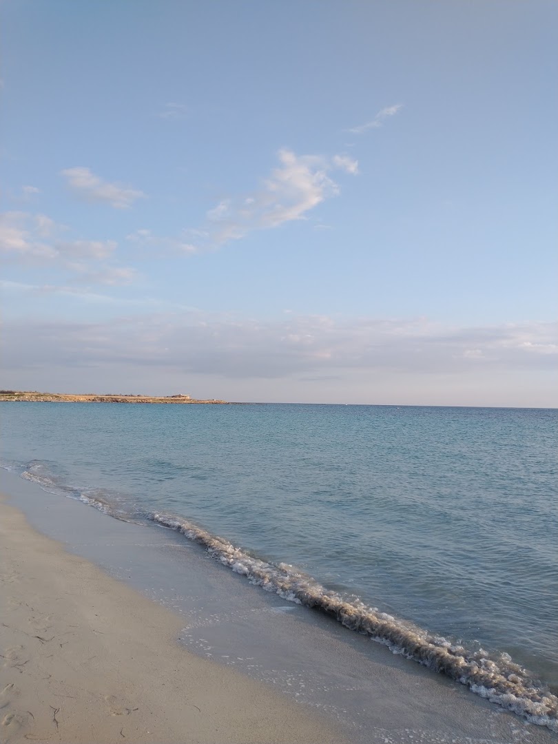 Lido Torrazza, Petrosino