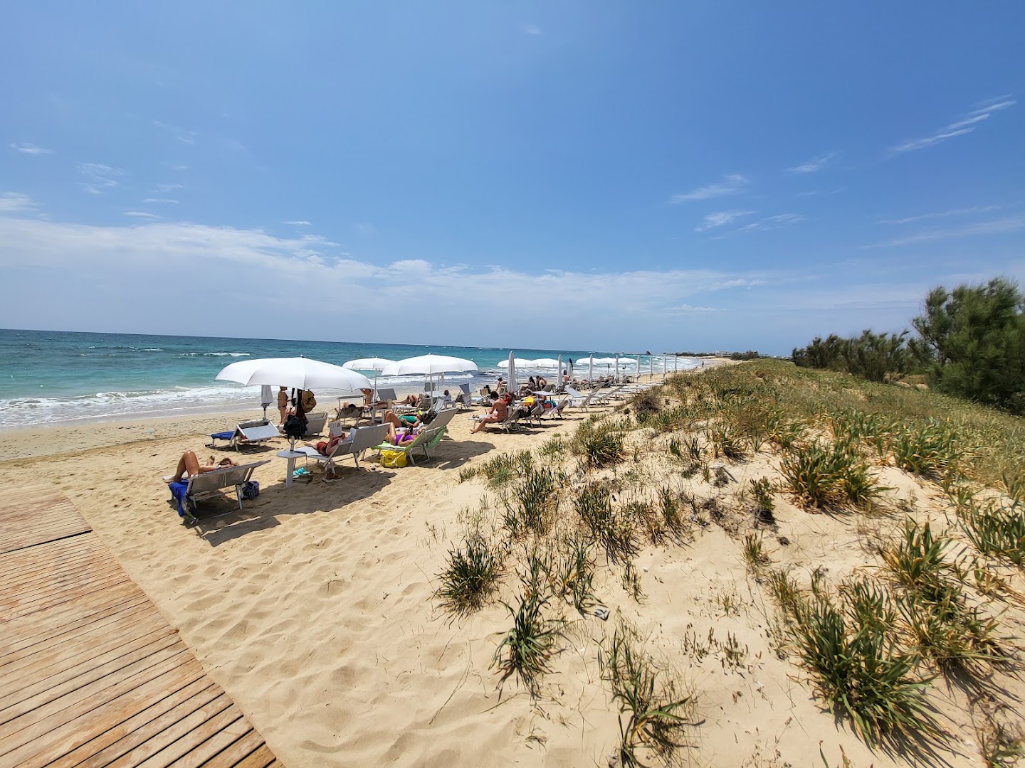 Lido Tropical