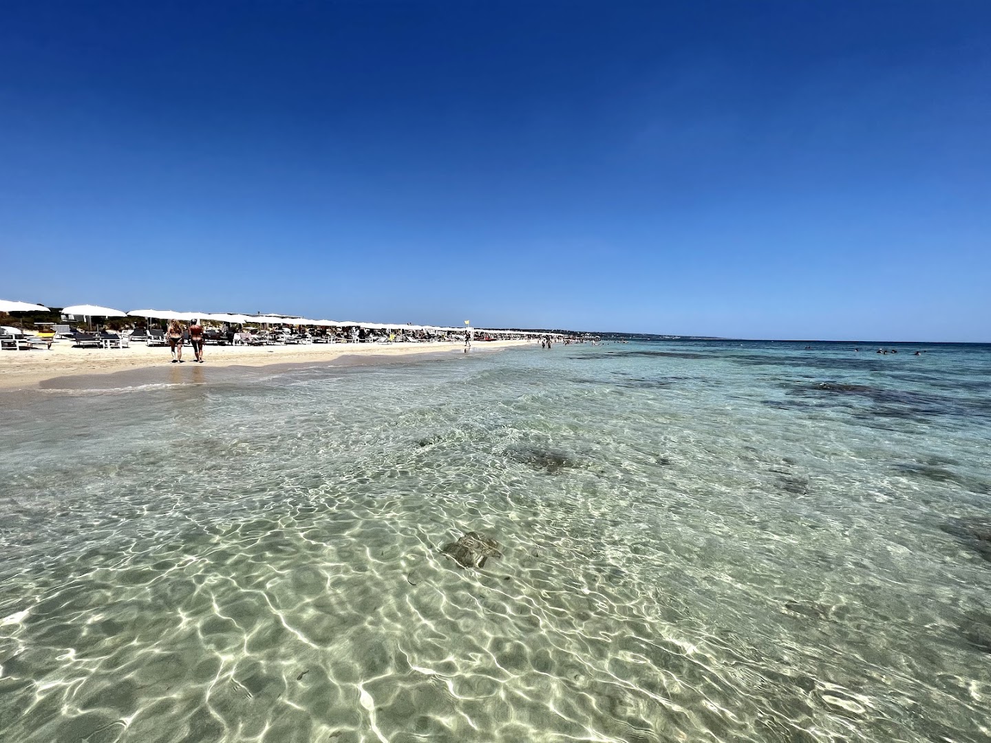 Lido Tropical