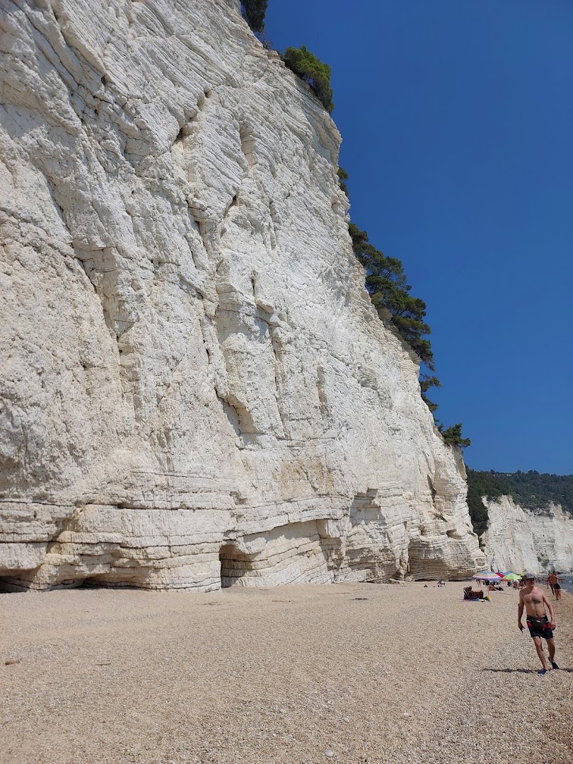 Lido Vignanotica
