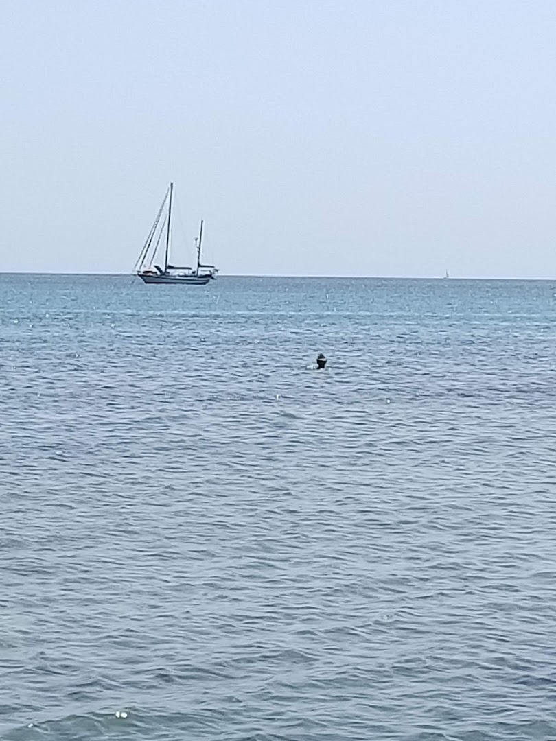 Lido York