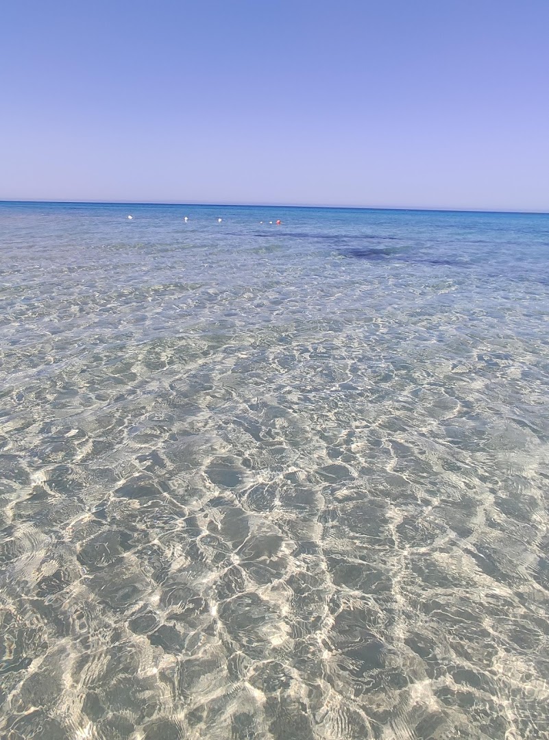 Lido Zelig