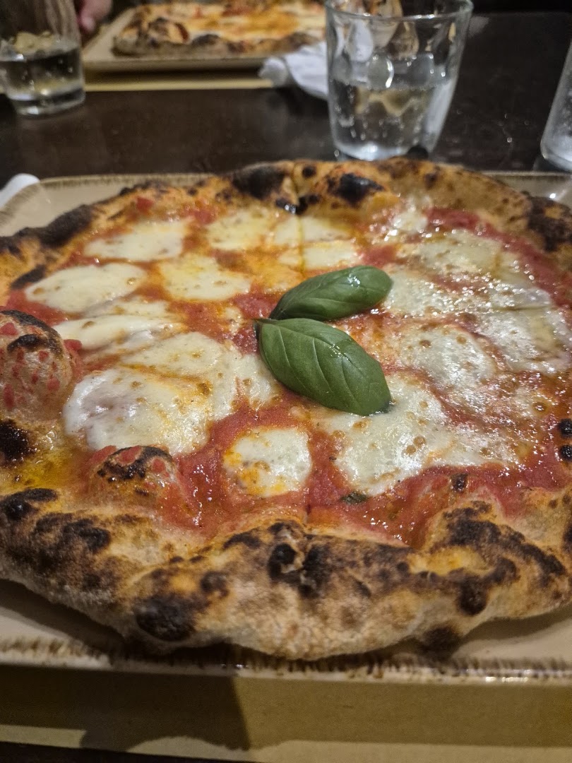 Lievito 72 Trani