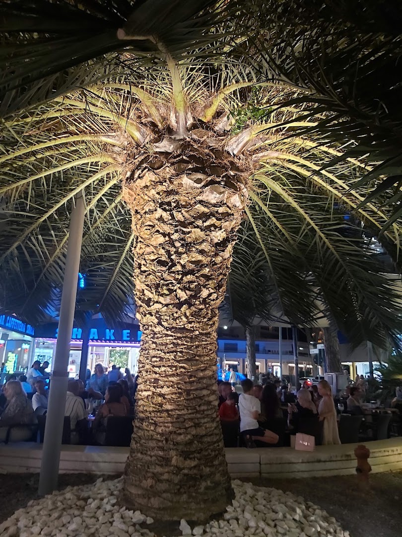 Lignano HB