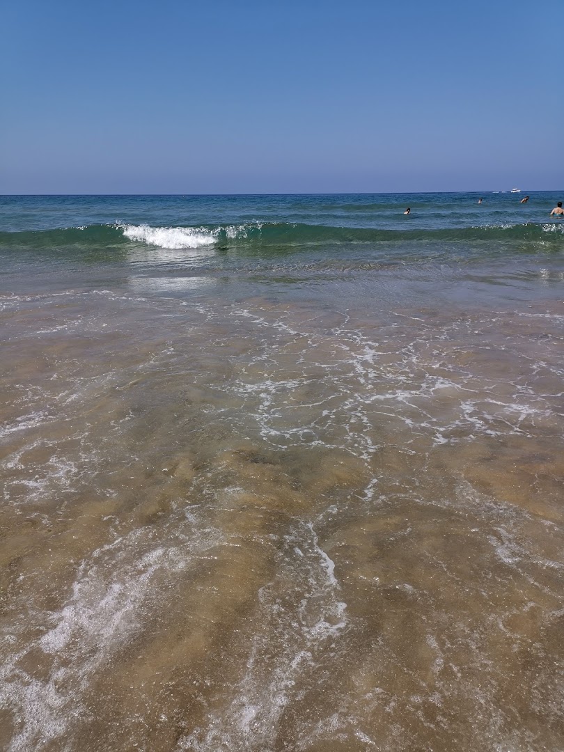 Lilium Beach