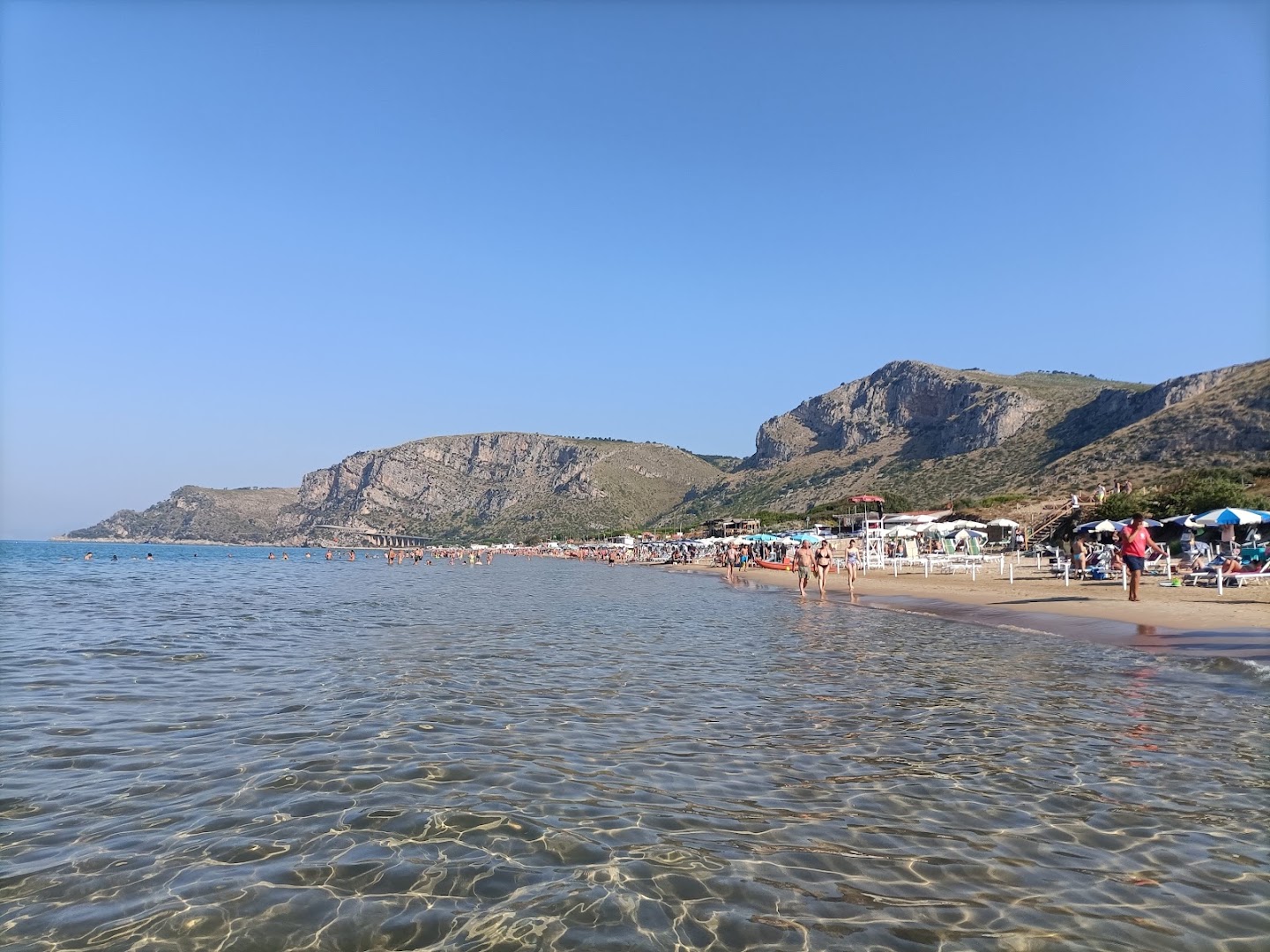 Lilium Beach