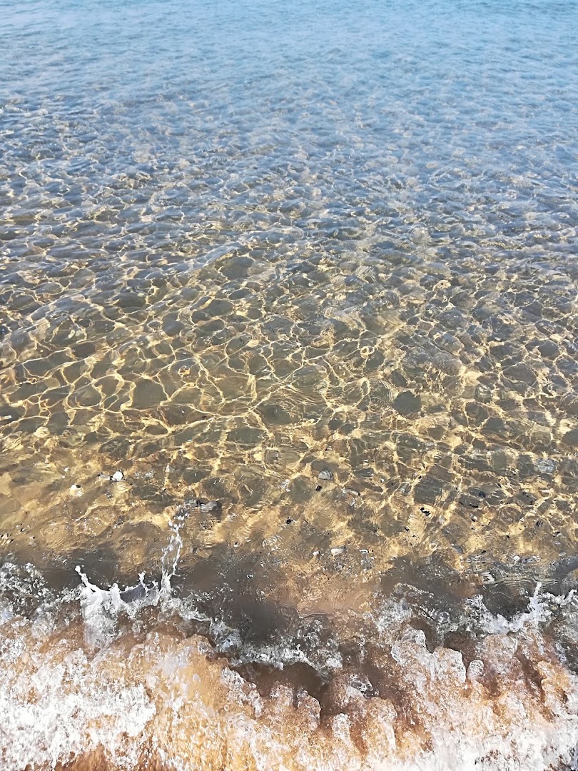 Lilium Beach