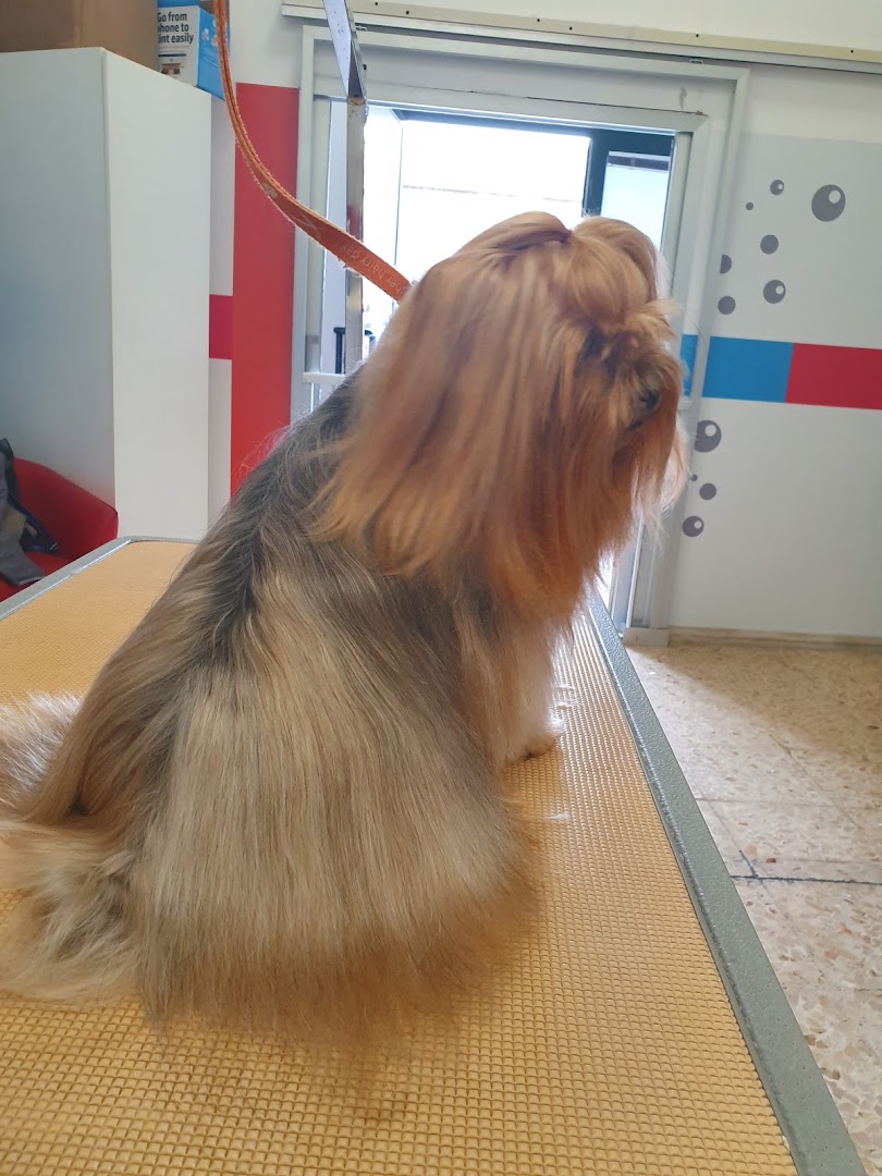 Lillo e I Vagabondi - Taranto