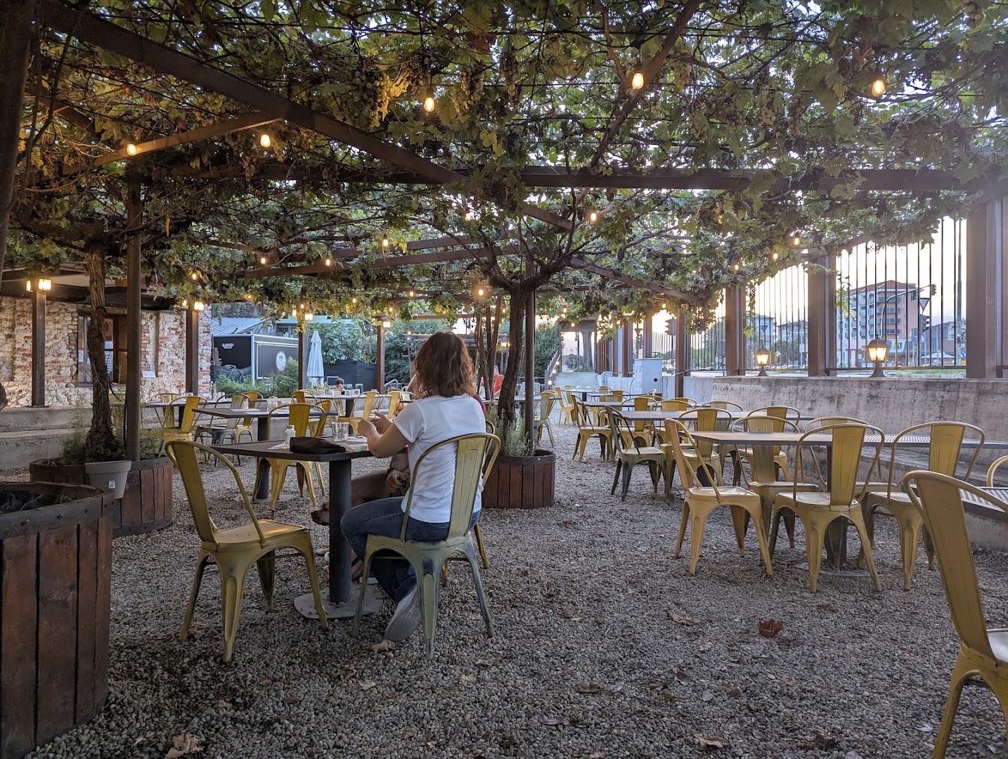 Linopassamilvino, Torino
