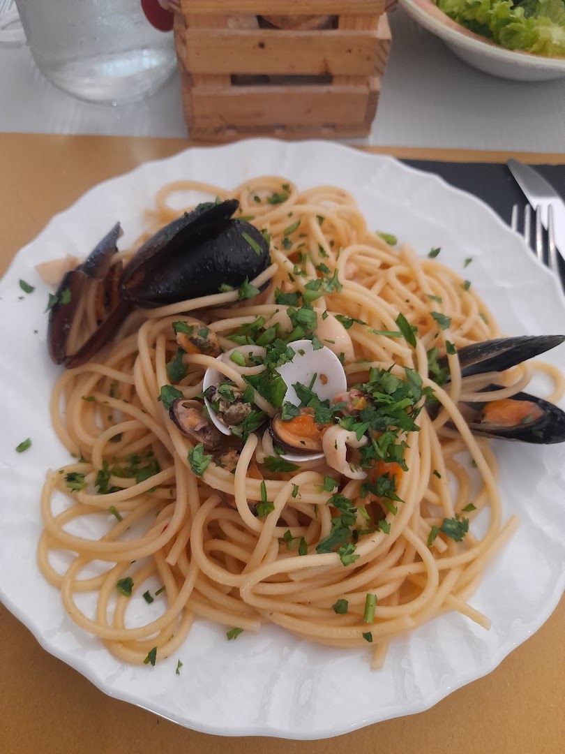 L'Ippocampo