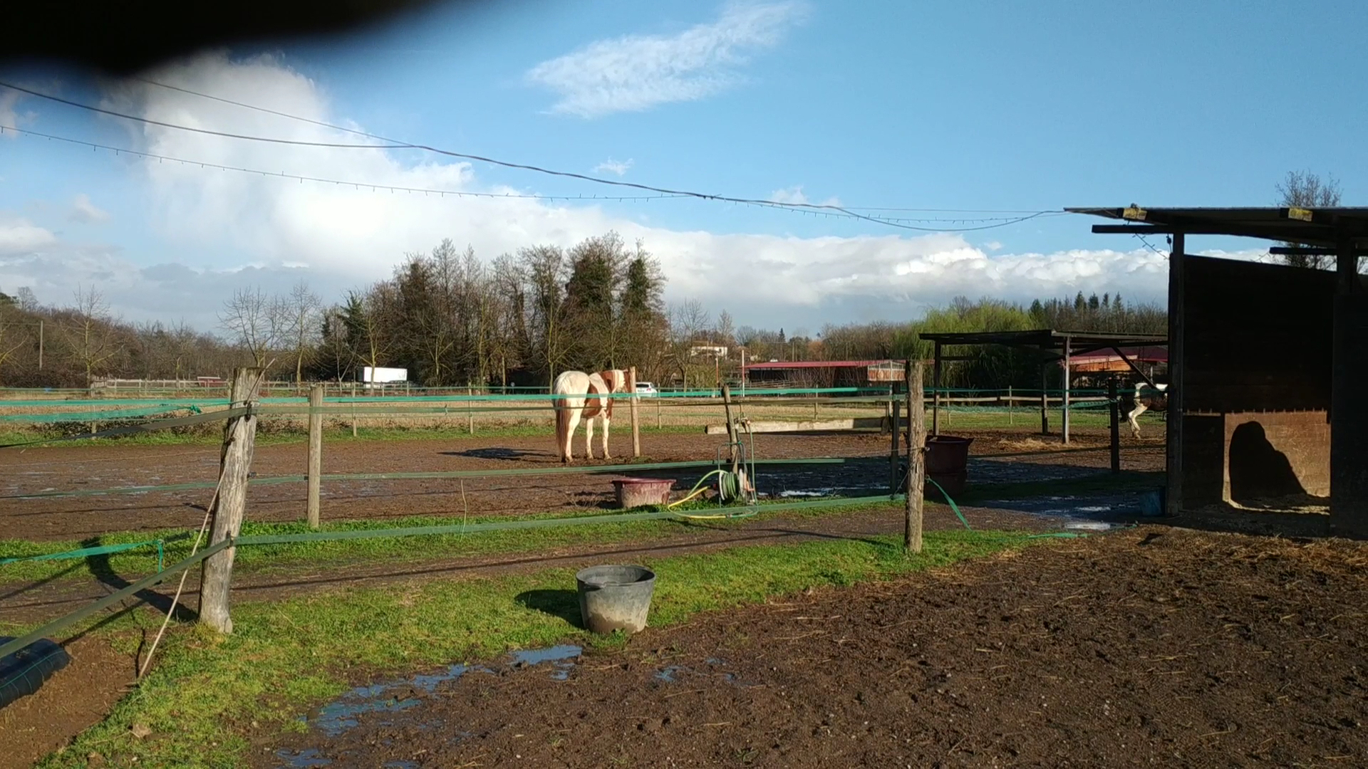 Lischeto Ranch