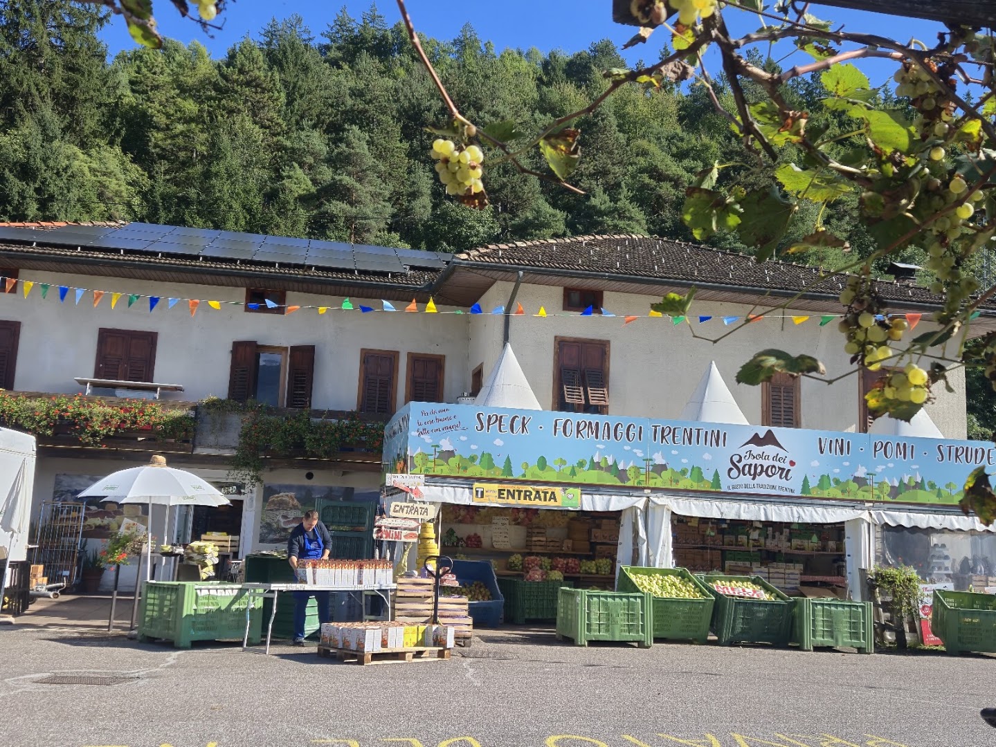 L'ISOLA DEI SAPORI di SIMONE MACCANI