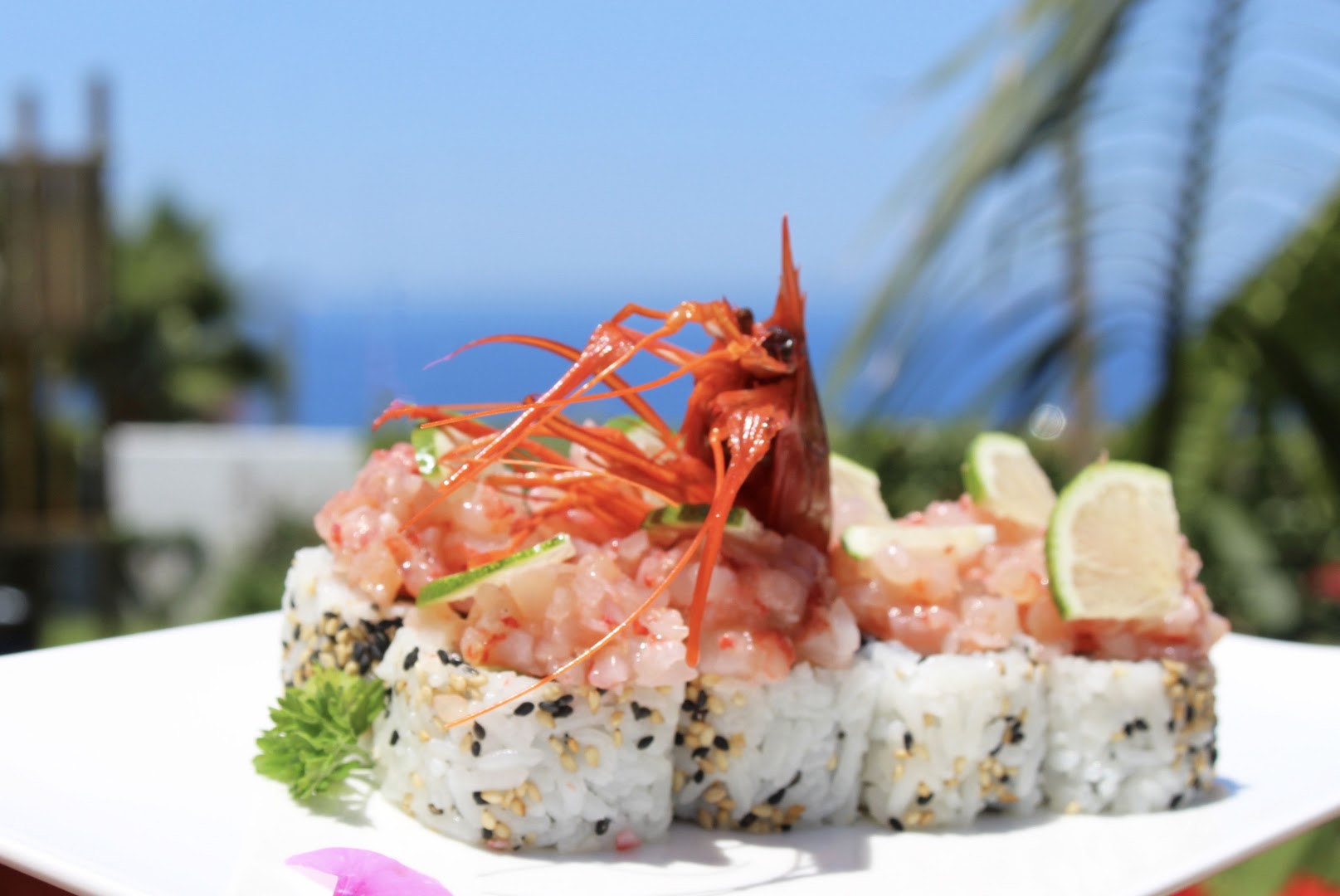 Live Fish & Sushi - Fusion Restaurant - Capo Vaticano