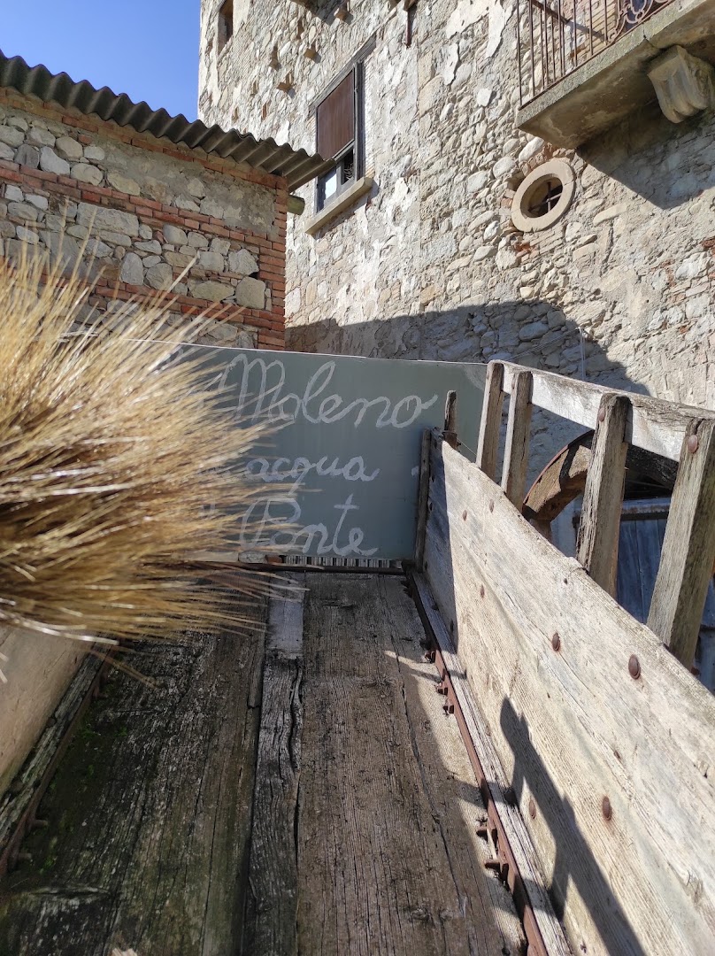 Lo Moleno ad acqua del Ponte, Bovino