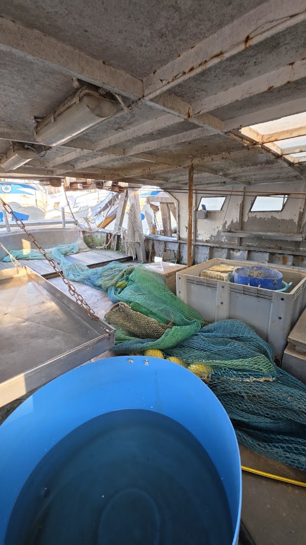 Lo Sfizio Del Porto Di De Palma Pierino