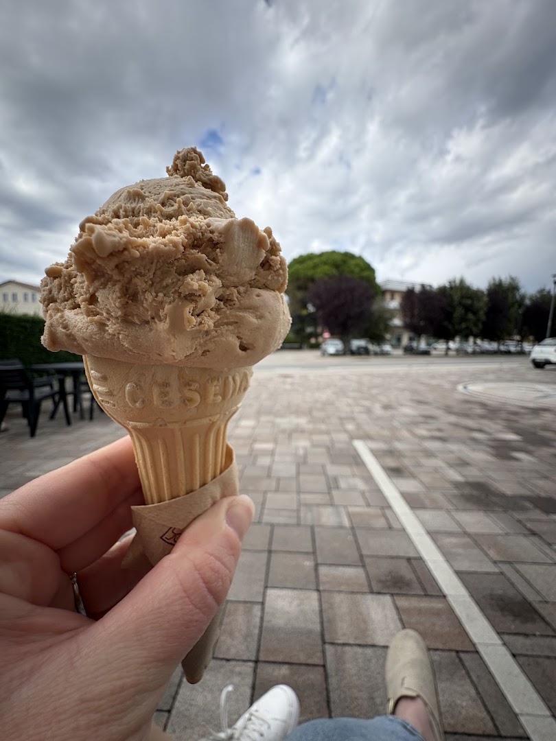 L'Oasi del Gelato Naturale