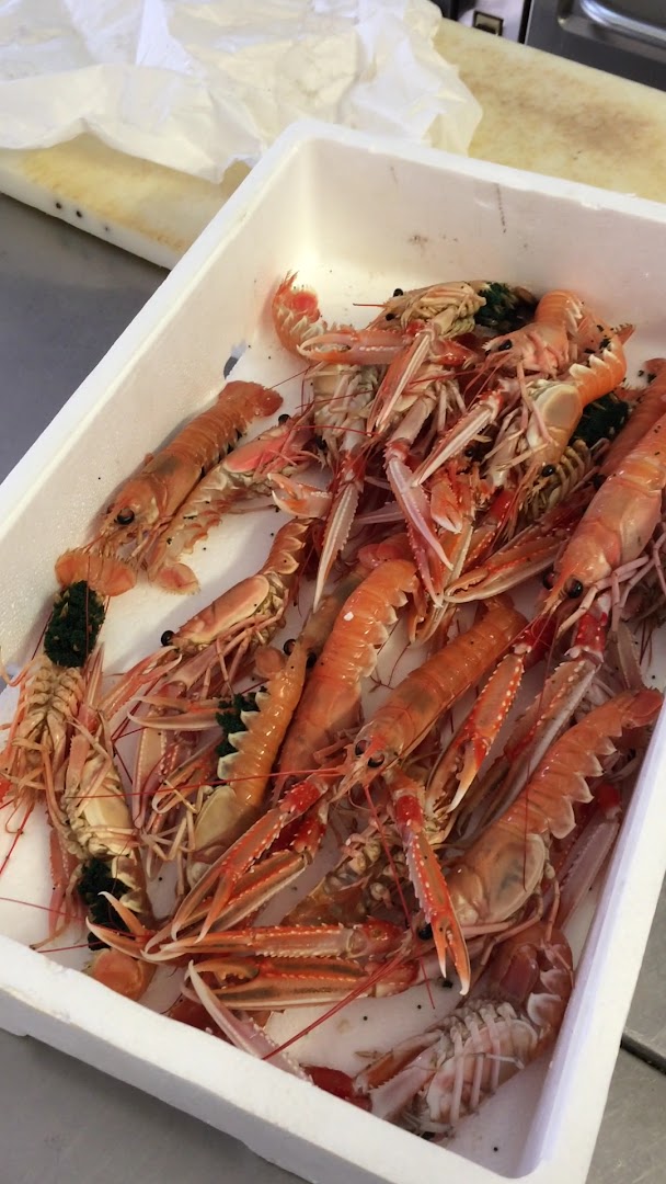 L'Oasi del Pesce
