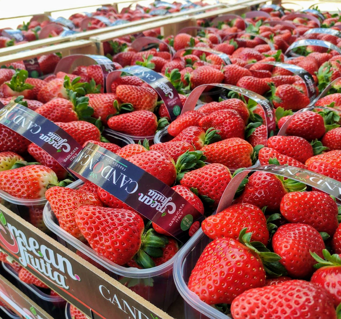 l'oasi della frutta