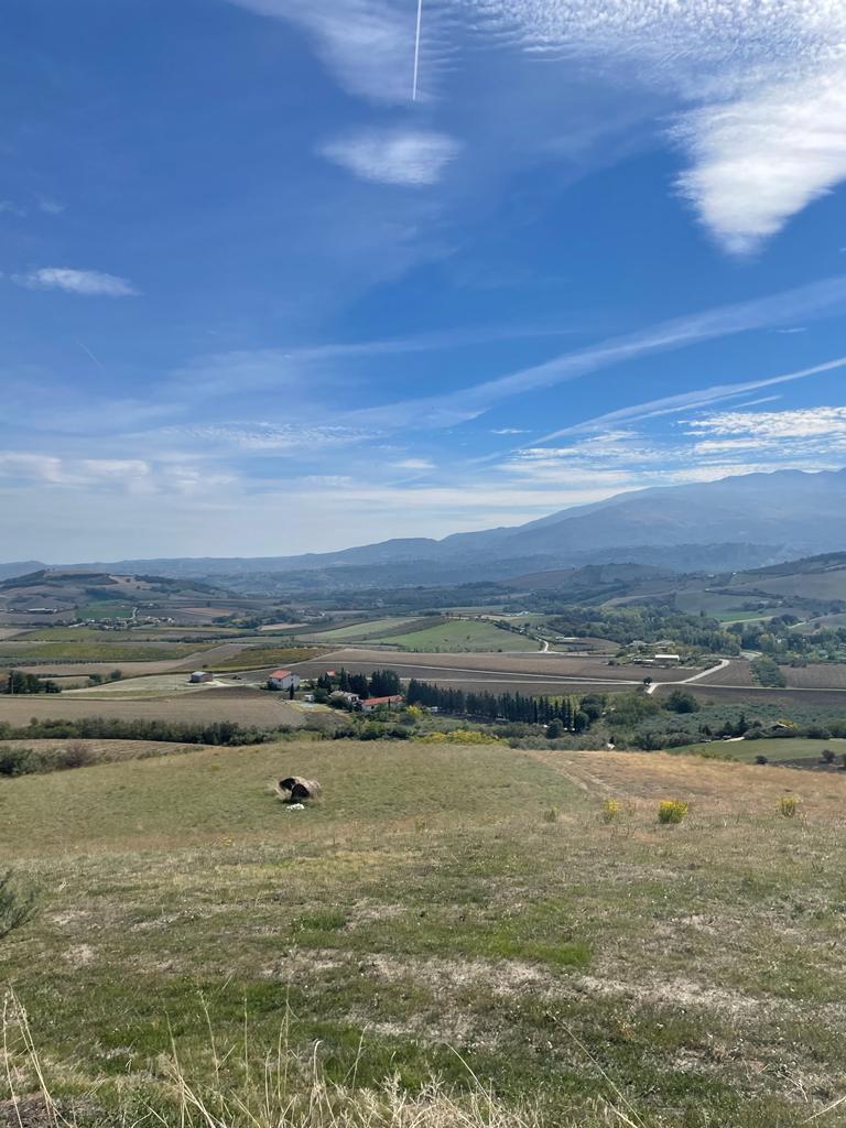 L'oasi delle criniere