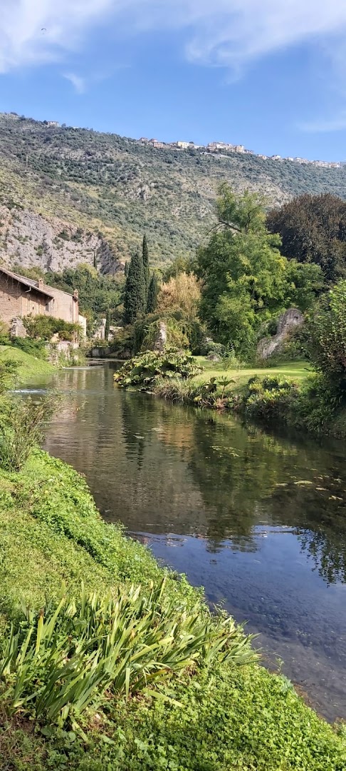 L'oasi delle criniere