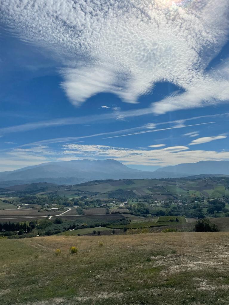 L'oasi delle criniere