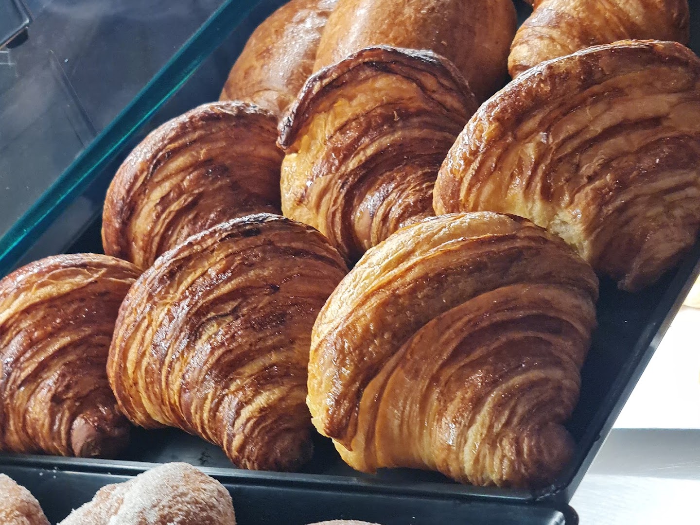 L'Oasi delle Fantasie