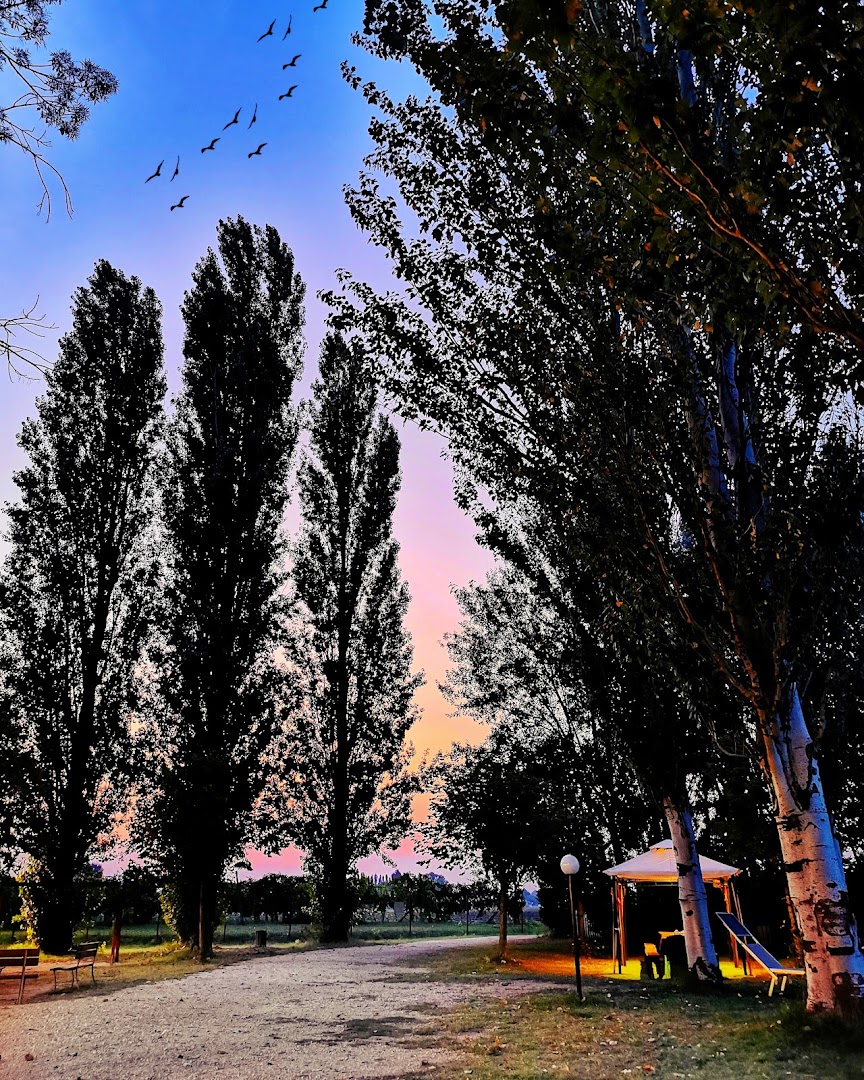 L'Oasi di Vigarano Pieve del Canoa Club Ferrara