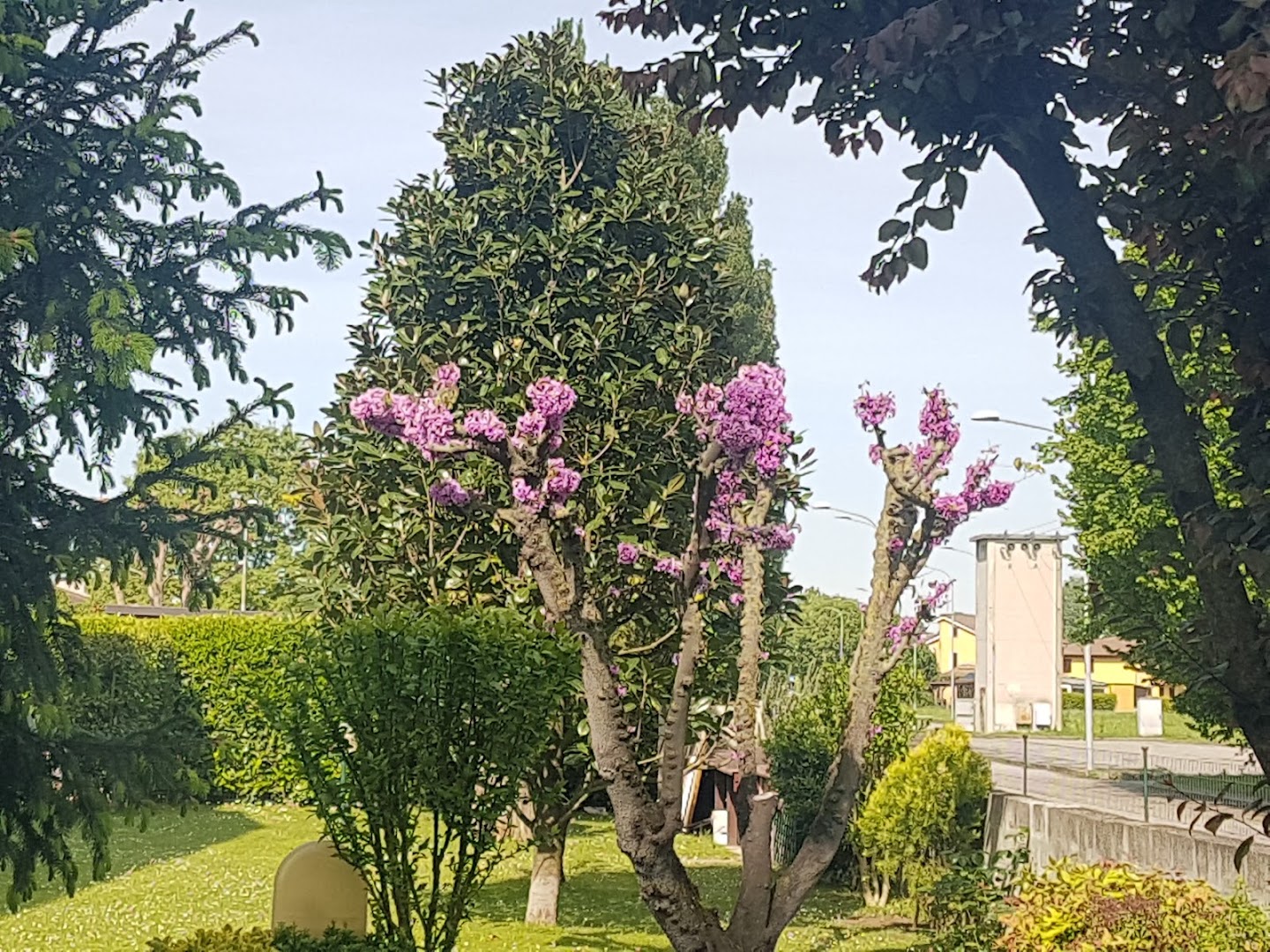 L'Oasi di Vigarano Pieve del Canoa Club Ferrara
