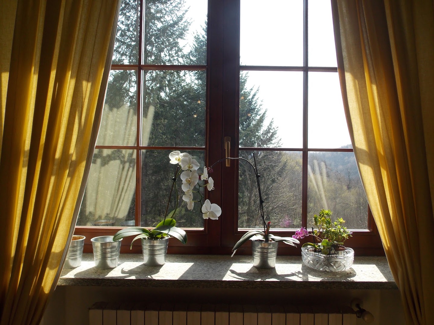 Locanda l'Erbavoglio